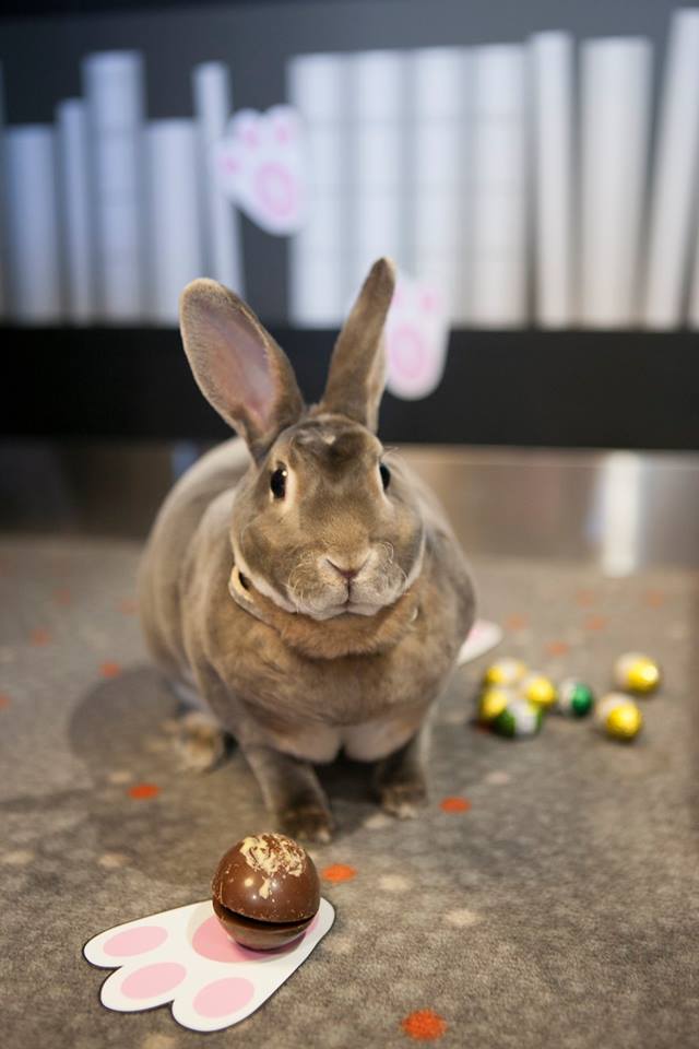 Easter Time - Spirit of Tasmania