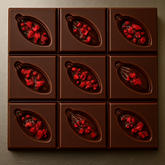 Chocolate bars with freeze dried Raspberries on a metallic surface