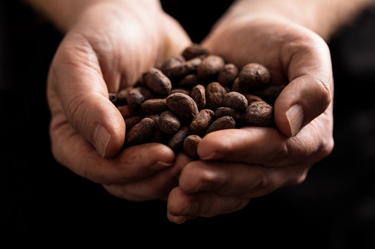 Why Is Chocolate Getting More Expensive in 2025? The Truth About Cacao Prices and Ethical Chocolate