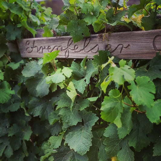 A Perfect Pairing: Visiting Federation Chocolate at Every Man and His Dog Vineyard