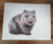 Wombat Card - Federation Artisan Chocolate